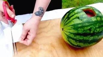 文安吃瓜地,揭秘民间趣事，品味生活百态  第3张